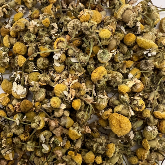 Classic Chamomile
