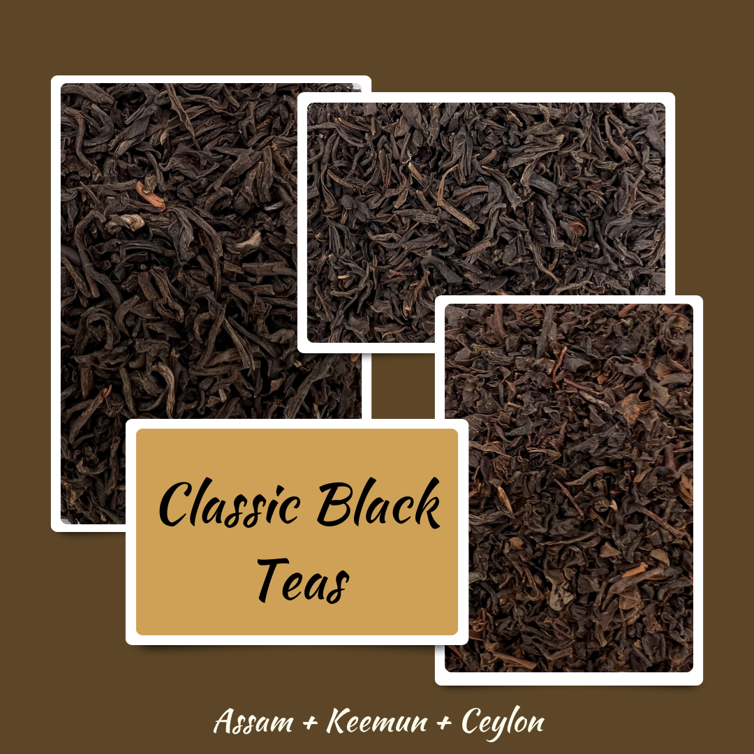 Classic Black Tea Collection