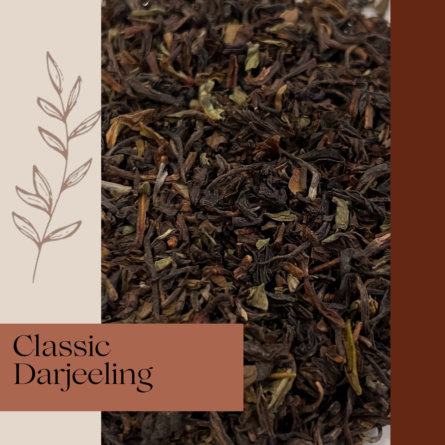 Close-up of Classic Darjeeling tea leaves with a brown label and leaf illustration on a beige background.