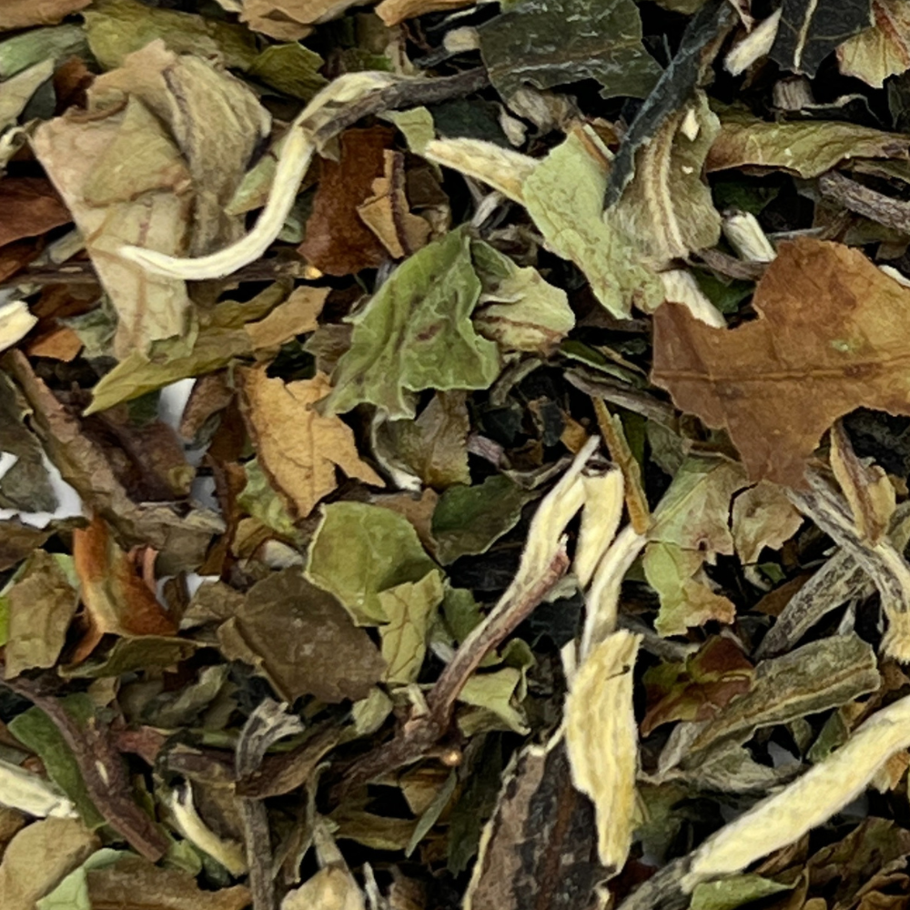 Pai Mu Tan Loose Leaf White Tea from China