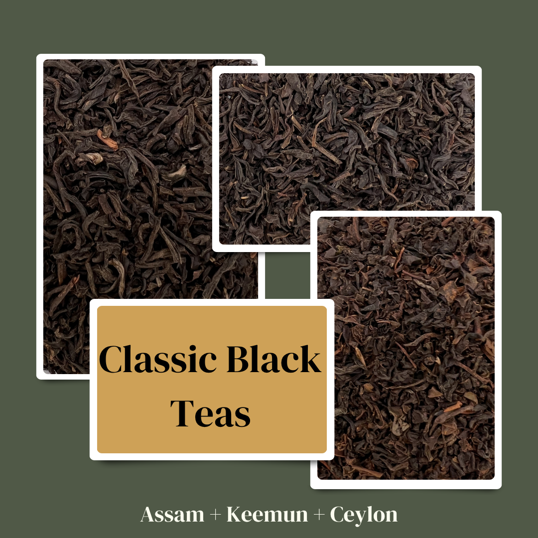 Three different types of black tea leaves with a label 'Classic Black Teas' on a green background.
