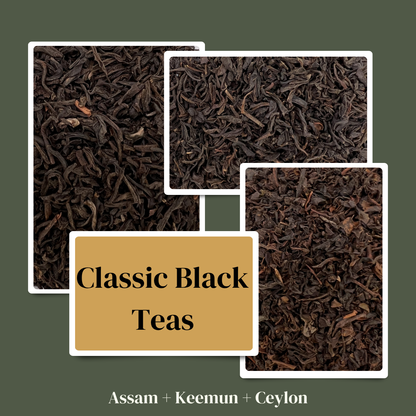 Three different types of black tea leaves with a label 'Classic Black Teas' on a green background.