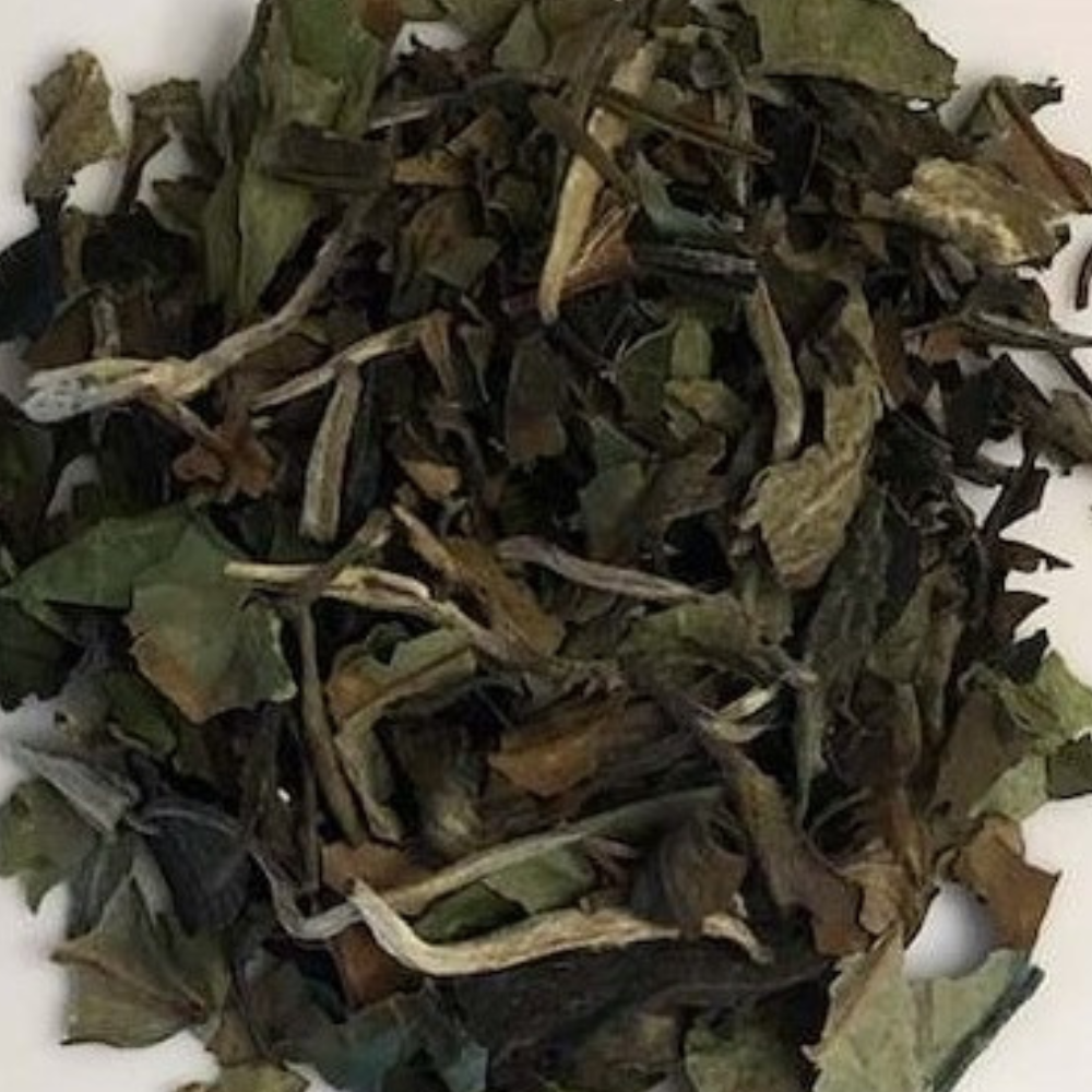 Pai Mu Tan Loose Leaf White Tea from China